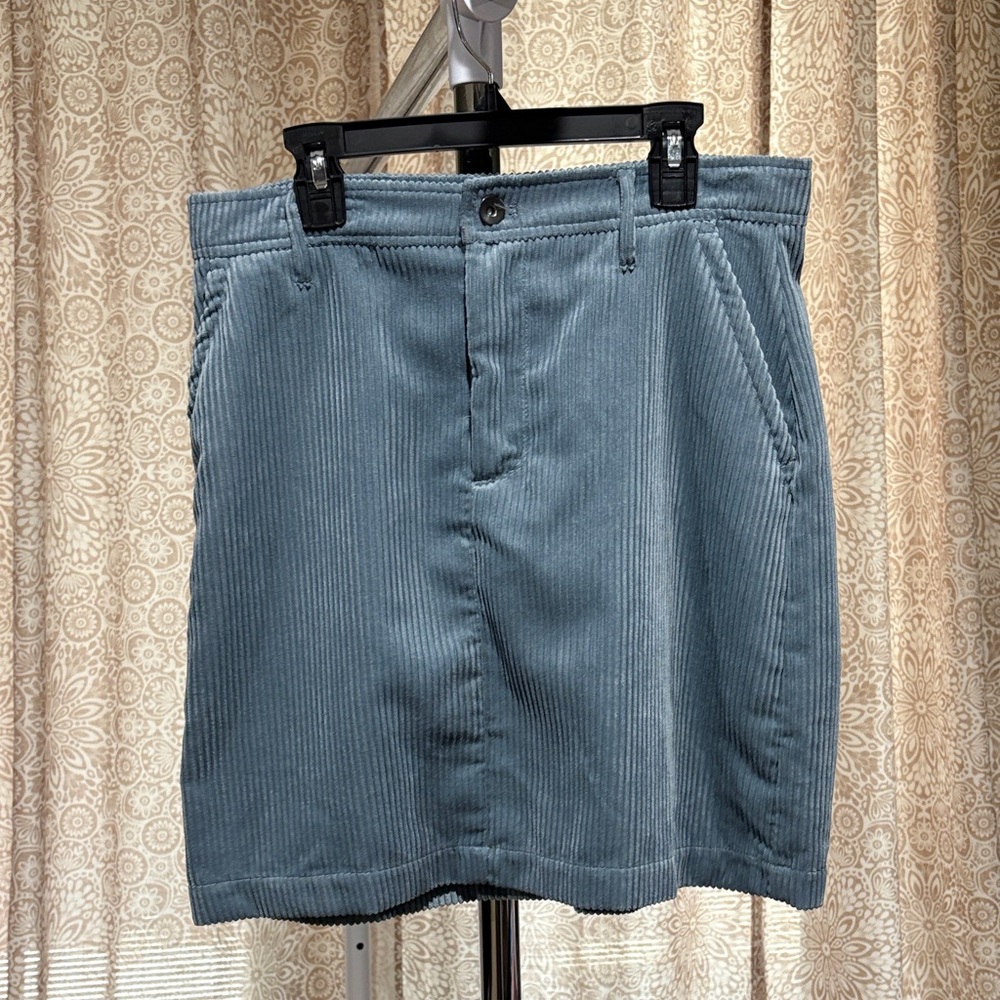 Banana Republic Sky Blue Corduroy Skirt